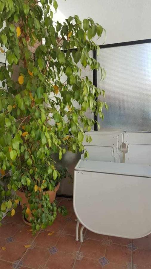 Ferienwohnung Luxe Castelar 19 Sevilla Exterior foto
